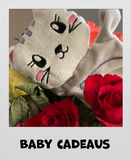 10EMB-Galerij-F-Baby-Cadeaus (366K)